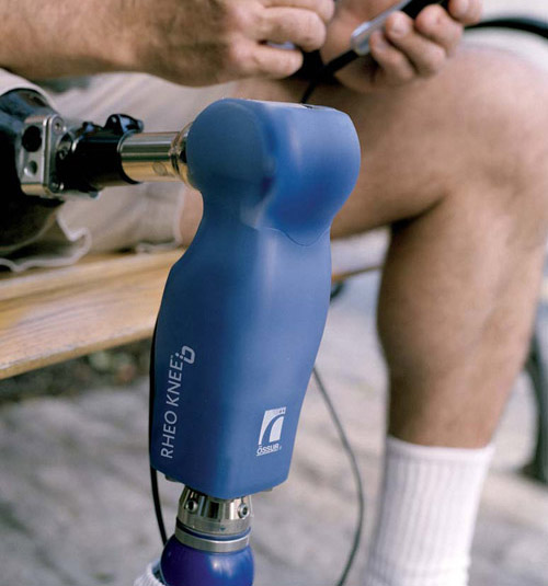 Rheo Knee Joint Rheo Knee Joint